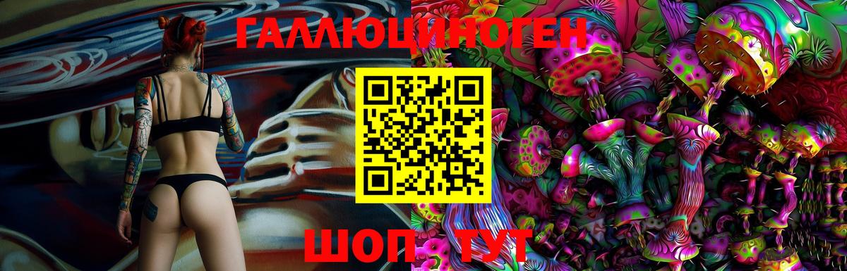 хочу   Вход с VPN  Аша  Галлюциногенные грибы Cubensis 